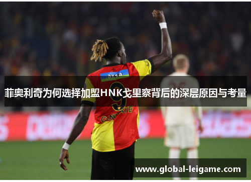 菲奥利奇为何选择加盟HNK戈里察背后的深层原因与考量