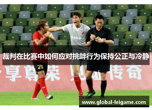 裁判在比赛中如何应对挑衅行为保持公正与冷静