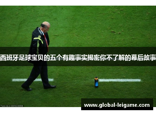 西班牙足球宝贝的五个有趣事实揭密你不了解的幕后故事