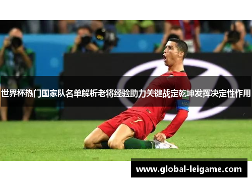 世界杯热门国家队名单解析老将经验助力关键战定乾坤发挥决定性作用