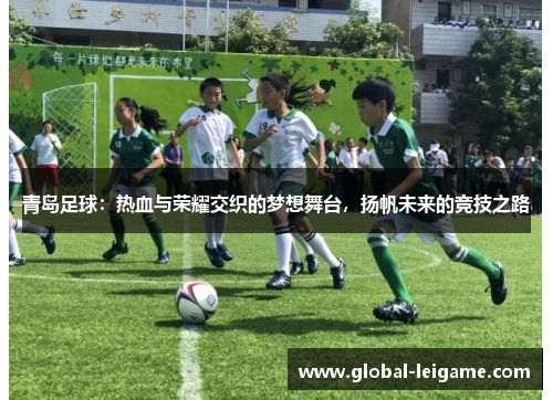 青岛足球：热血与荣耀交织的梦想舞台，扬帆未来的竞技之路